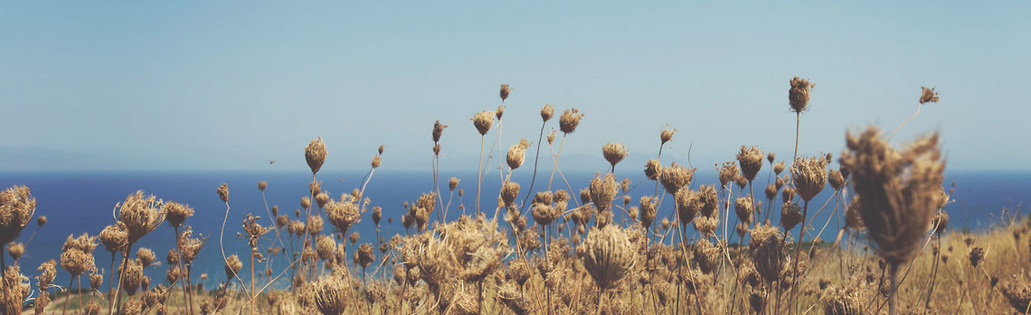 在线DDOS压力测试网页端