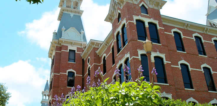 ip攻击器网页版